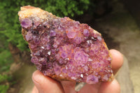 Natural Amethystos Amethyst Specimens x 12 From Kwaggafontein, South Africa - Toprock Gemstones and Minerals 