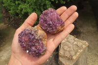 Natural Amethystos Amethyst Specimens x 12 From Kwaggafontein, South Africa - Toprock Gemstones and Minerals 