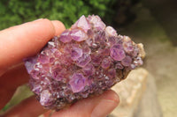 Natural Amethystos Amethyst Specimens x 12 From Kwaggafontein, South Africa - Toprock Gemstones and Minerals 