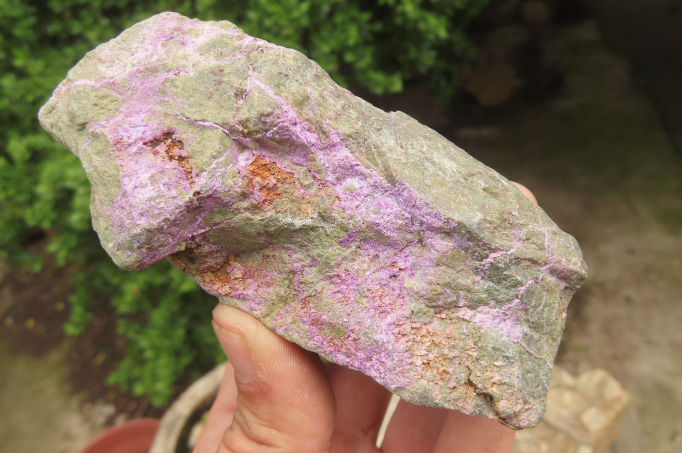 Natural Stichtite Cobbed Specimens x 9 From Barberton, South Africa - Toprock Gemstones and Minerals 