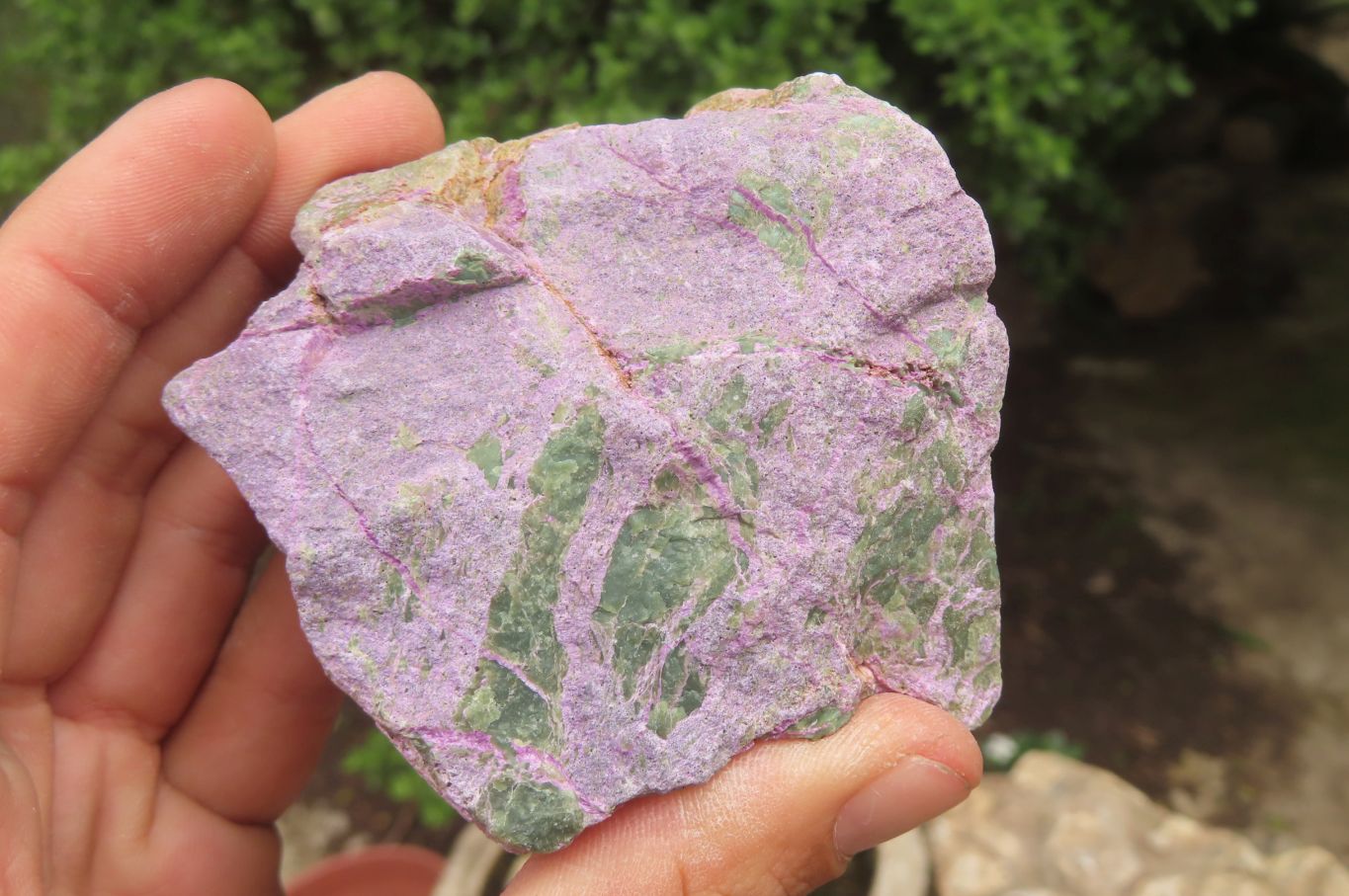 Natural Stichtite Cobbed Specimens x 9 From Barberton, South Africa - Toprock Gemstones and Minerals 