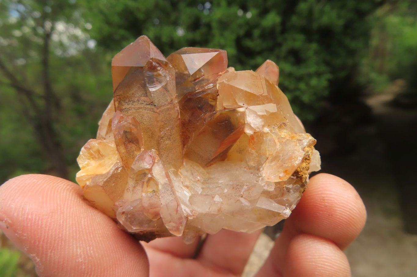 Natural Red Hematoid Quartz Clusters x 12 From Karoi, Zimbabwe - Toprock Gemstones and Minerals 