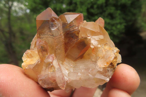 Natural Red Hematoid Quartz Clusters x 12 From Karoi, Zimbabwe - Toprock Gemstones and Minerals 