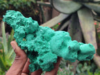 Natural Silky Malachite Specimens x 2 From Kasompe, Congo - Toprock Gemstones and Minerals 