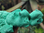 Natural Silky Malachite Specimens x 2 From Kasompe, Congo - Toprock Gemstones and Minerals 