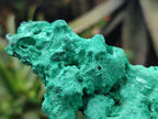 Natural Silky Malachite Specimens x 2 From Kasompe, Congo - Toprock Gemstones and Minerals 