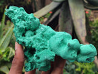 Natural Silky Malachite Specimens x 2 From Kasompe, Congo - Toprock Gemstones and Minerals 