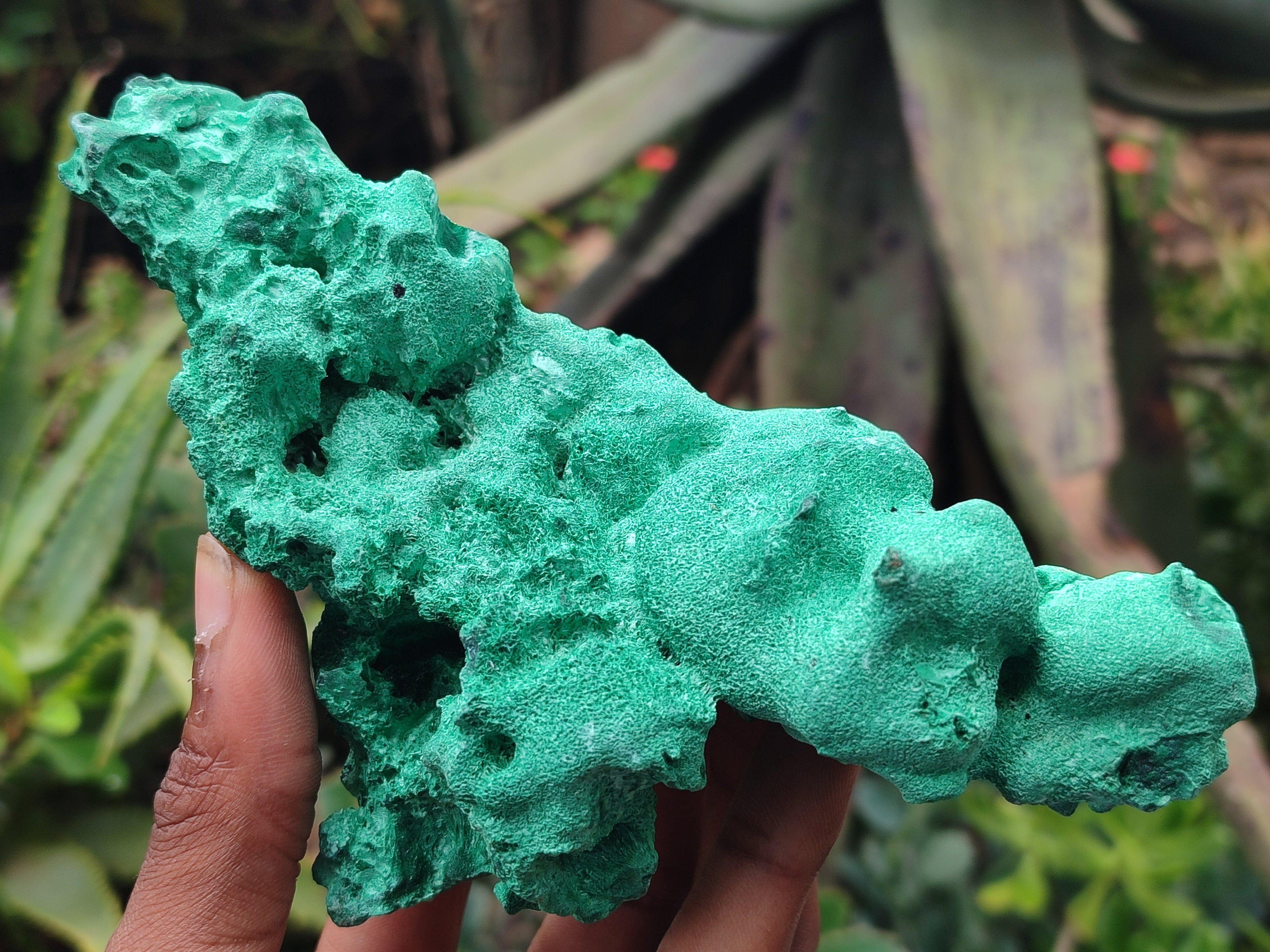 Natural Silky Malachite Specimens x 2 From Kasompe, Congo - Toprock Gemstones and Minerals 