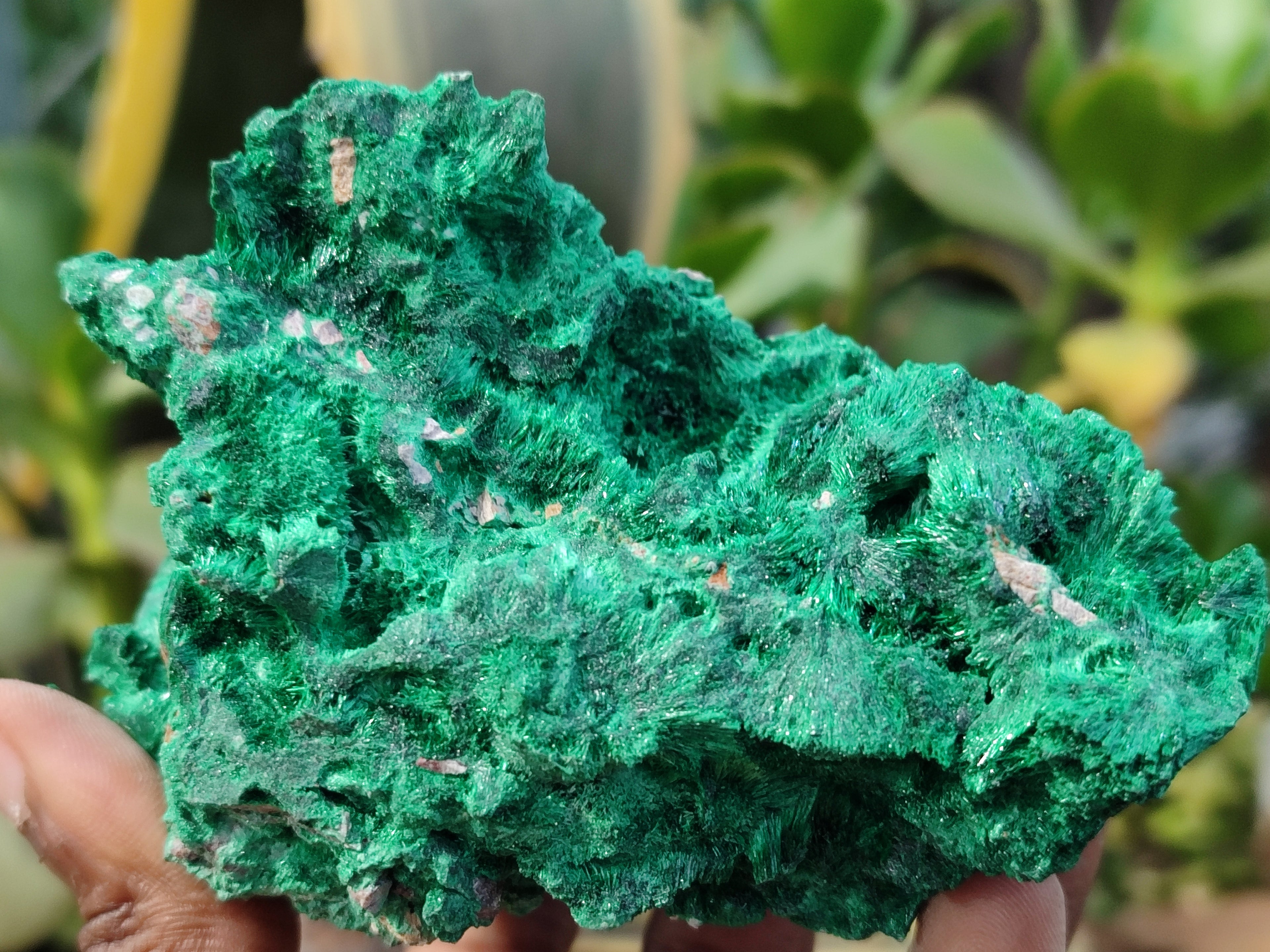 Natural Silky Malachite Specimens x 3 From Kasompe, Congo - Toprock Gemstones and Minerals 