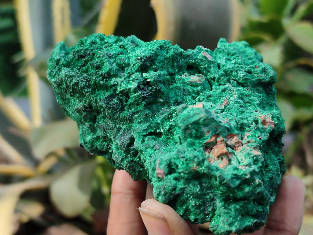 Natural Silky Malachite Specimens x 3 From Kasompe, Congo - Toprock Gemstones and Minerals 