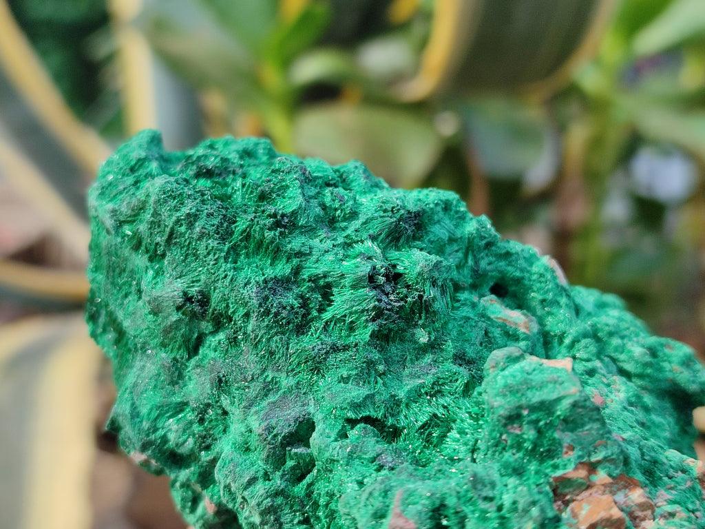 Natural Silky Malachite Specimens x 3 From Kasompe, Congo - Toprock Gemstones and Minerals 