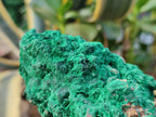 Natural Silky Malachite Specimens x 3 From Kasompe, Congo - Toprock Gemstones and Minerals 