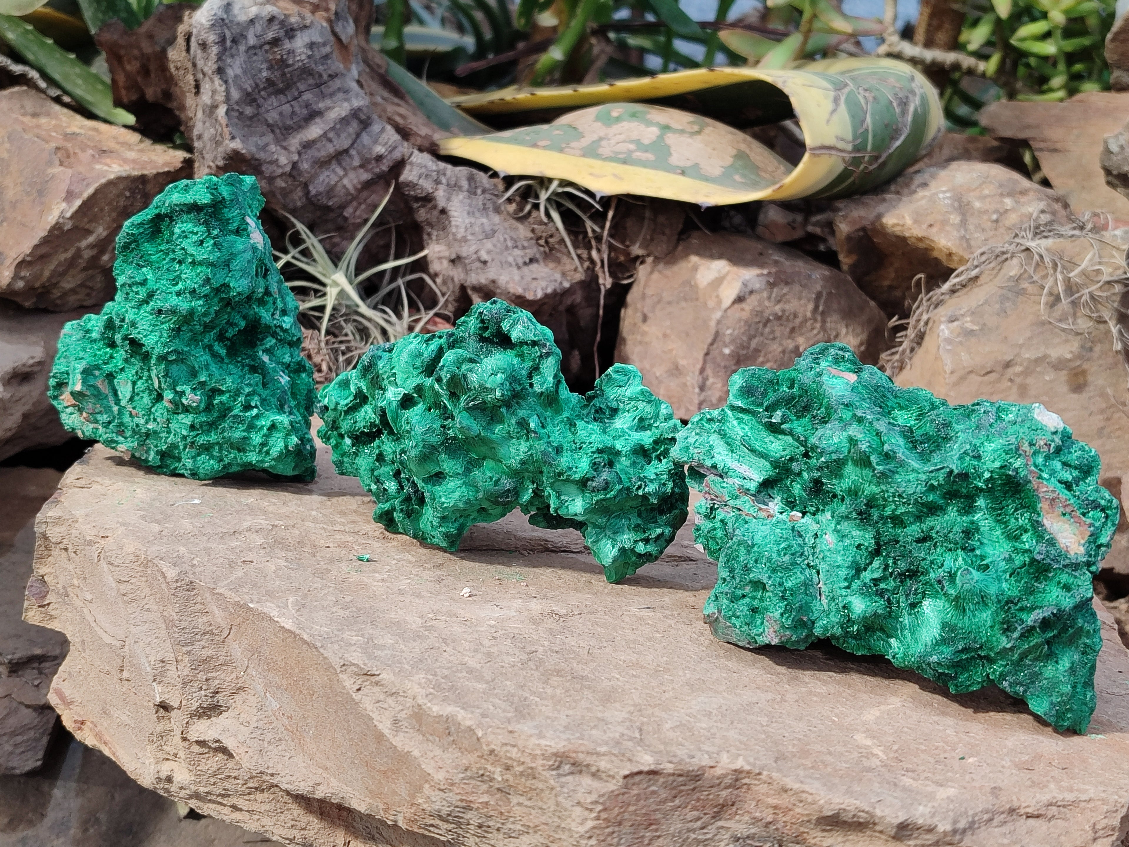 Natural Silky Malachite Specimens x 3 From Kasompe, Congo - Toprock Gemstones and Minerals 