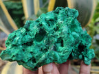Natural Silky Malachite Specimens x 3 From Kasompe, Congo - Toprock Gemstones and Minerals 