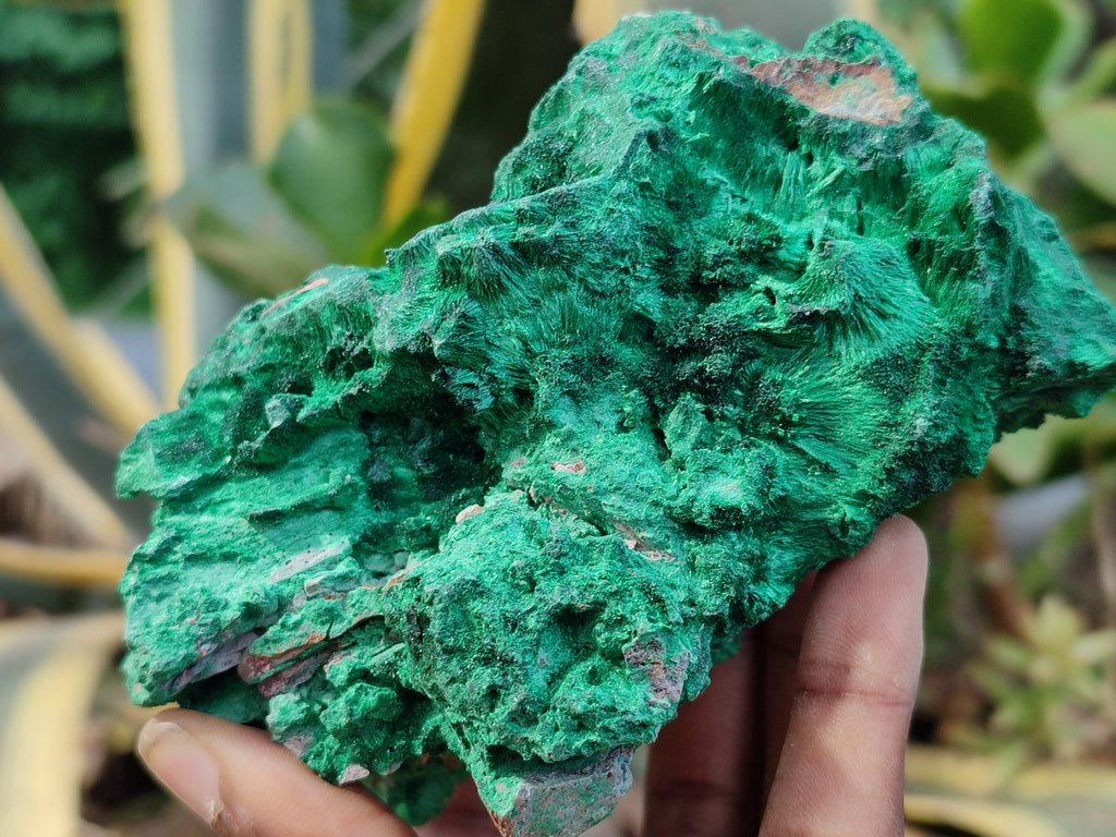 Natural Silky Malachite Specimens x 3 From Kasompe, Congo - Toprock Gemstones and Minerals 