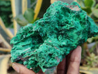 Natural Silky Malachite Specimens x 3 From Kasompe, Congo - Toprock Gemstones and Minerals 