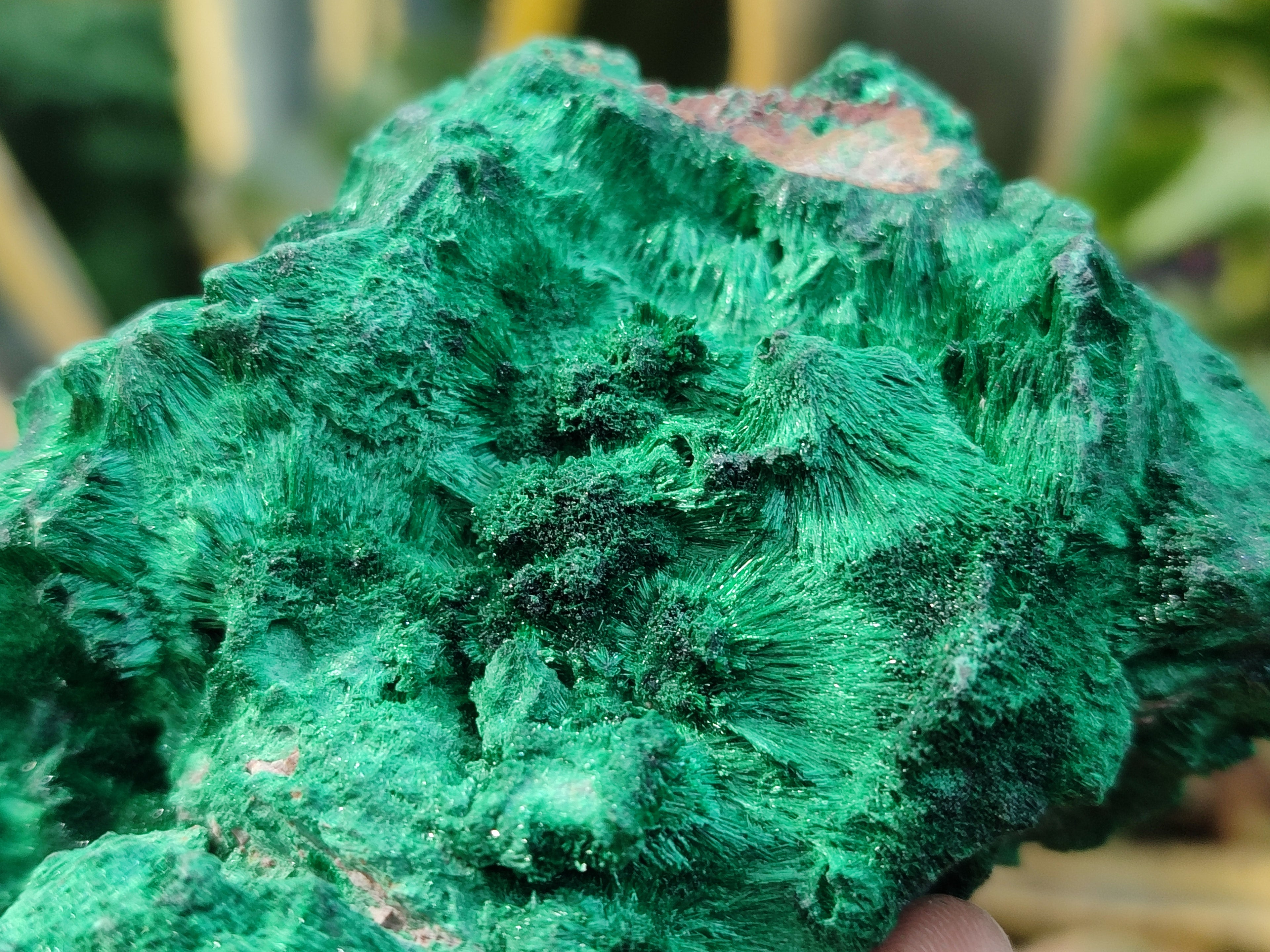 Natural Silky Malachite Specimens x 3 From Kasompe, Congo - Toprock Gemstones and Minerals 