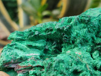 Natural Silky Malachite Specimens x 3 From Kasompe, Congo - Toprock Gemstones and Minerals 