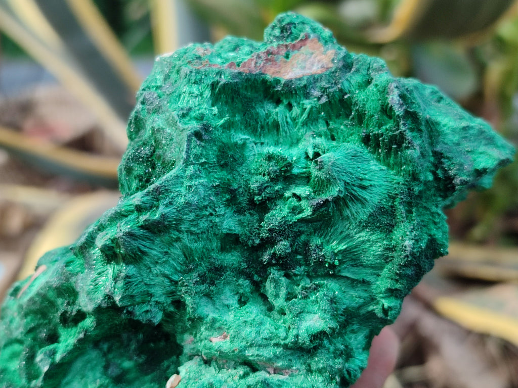 Natural Silky Malachite Specimens x 3 From Kasompe, Congo - Toprock Gemstones and Minerals 