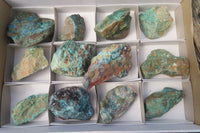 Natural Shattuckite with Chrysocolla & Malachite x 12 from Kaokoveld, Namibia - Toprock Gemstones and Minerals 