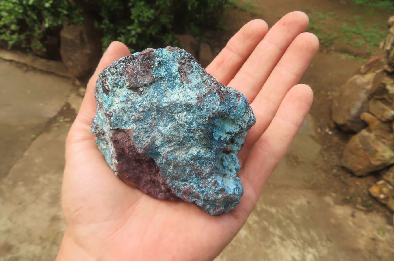 Natural Shattuckite with Chrysocolla & Malachite x 12 from Kaokoveld, Namibia - Toprock Gemstones and Minerals 