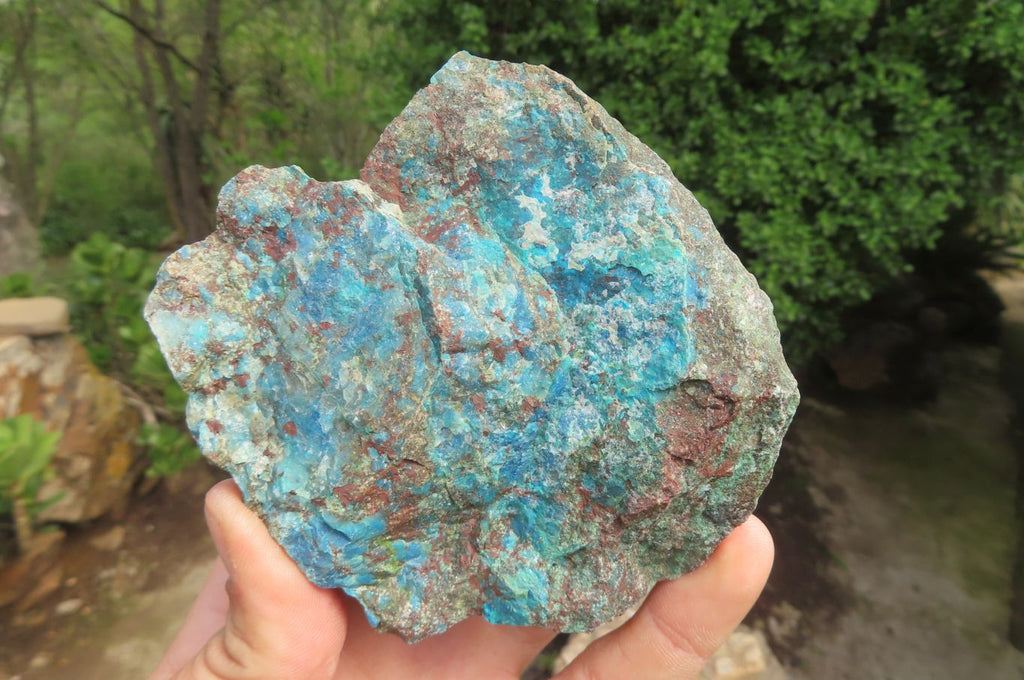 Natural Shattuckite with Chrysocolla & Malachite x 12 from Kaokoveld, Namibia - Toprock Gemstones and Minerals 