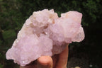 Natural Amethyst Spirit Quartz Clusters x 2 From Boekenhouthoek, South Africa - Toprock Gemstones and Minerals 