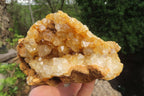 Natural Limonite Quartz Specimens x 3 From Zambia - Toprock Gemstones and Minerals 