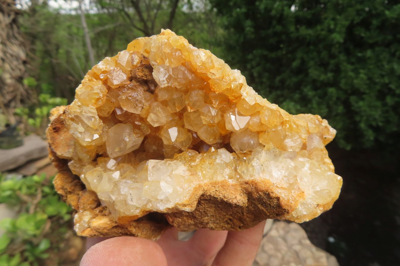 Natural Limonite Quartz Specimens x 3 From Zambia - Toprock Gemstones and Minerals 