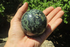 Polished Stromatolite Jasper Spheres x 4 From Madagascar - Toprock Gemstones and Minerals 