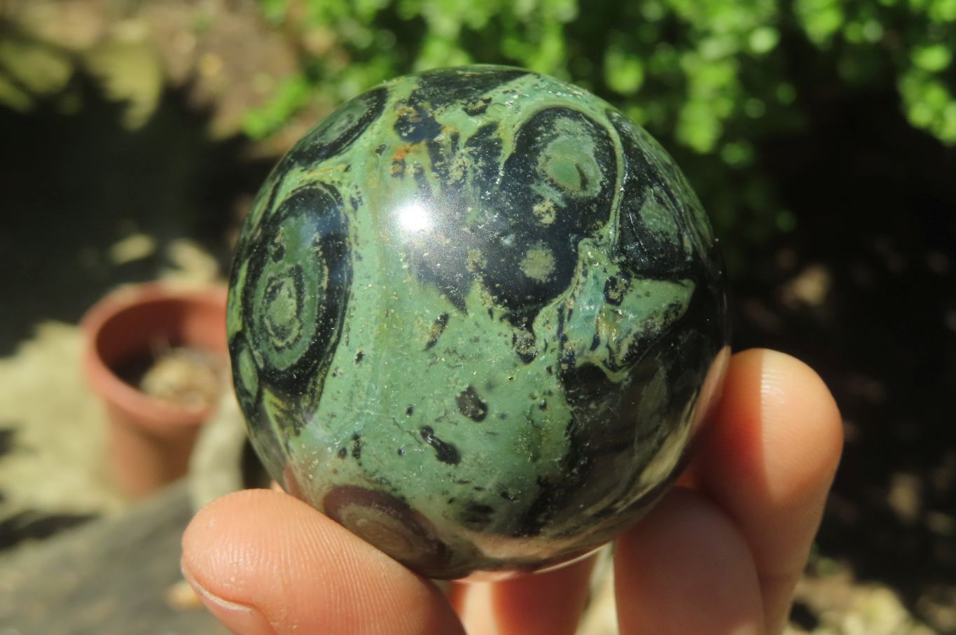 Polished Stromatolite Jasper Spheres x 4 From Madagascar - Toprock Gemstones and Minerals 