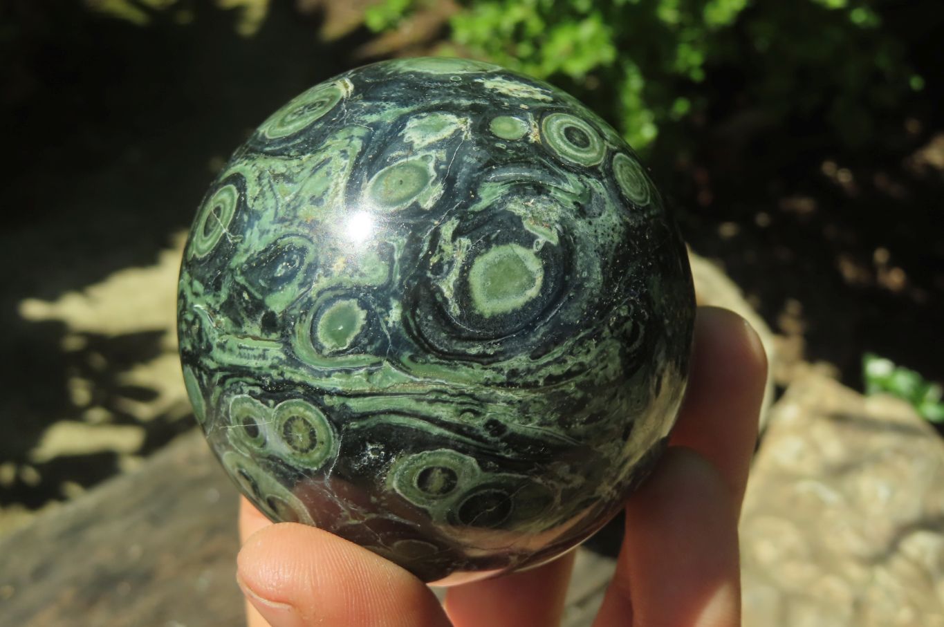 Polished Stromatolite Jasper Spheres x 4 From Madagascar - Toprock Gemstones and Minerals 