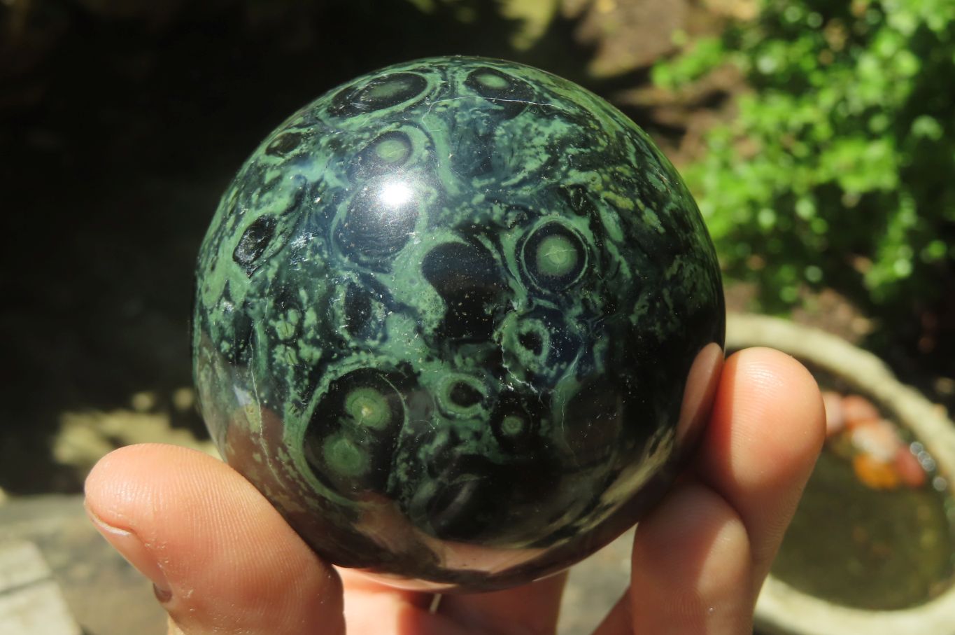Polished Stromatolite Jasper Spheres x 4 From Madagascar - Toprock Gemstones and Minerals 