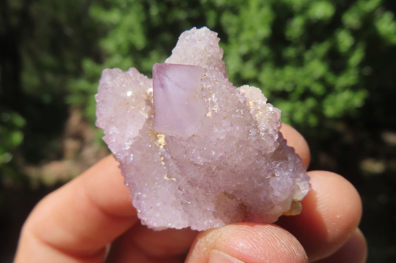Natural Amethyst Spirit Quartz Crystals x 40 From Boekenhouthoek, South Africa - Toprock Gemstones and Minerals 