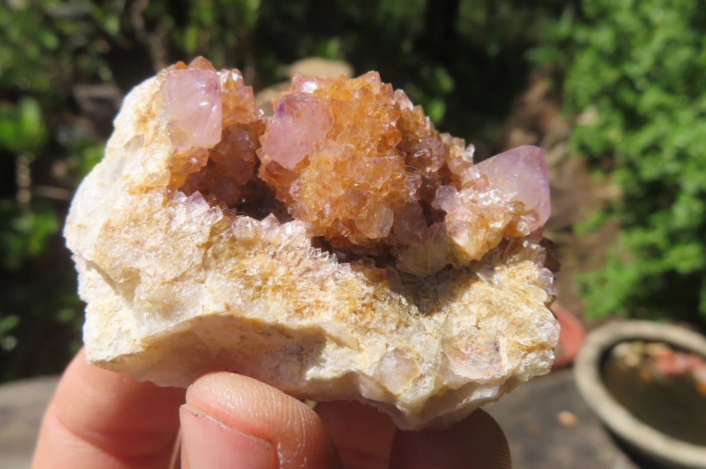 Natural Amethyst Spirit Quartz Crystals x 40 From Boekenhouthoek, South Africa - Toprock Gemstones and Minerals 