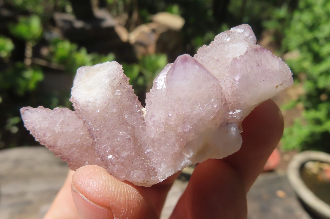 Natural Amethyst Spirit Quartz Crystals x 40 From Boekenhouthoek, South Africa - Toprock Gemstones and Minerals 