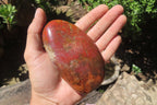 Polished Red Podocarpus Petrified Wood Standing Free Forms x 3 From Madagascar - Toprock Gemstones and Minerals 