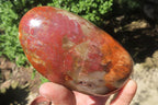 Polished Red Podocarpus Petrified Wood Standing Free Forms x 3 From Madagascar - Toprock Gemstones and Minerals 