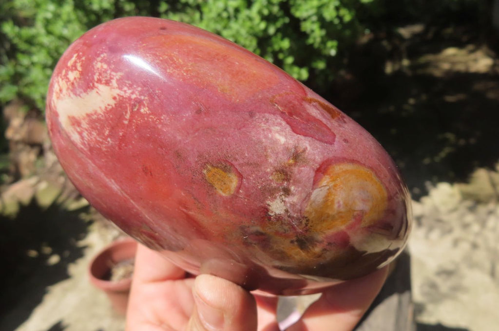 Polished Red Podocarpus Petrified Wood Standing Free Forms x 3 From Madagascar - Toprock Gemstones and Minerals 