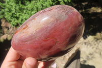 Polished Red Podocarpus Petrified Wood Standing Free Forms x 3 From Madagascar - Toprock Gemstones and Minerals 