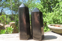 Polished Black Basalt Points x 6 From Antsirabe, Madagascar - Toprock Gemstones and Minerals 