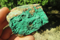 Natural Botryoidal Malachite Specimens x 12 From Congo - Toprock Gemstones and Minerals 