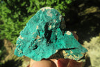 Natural Botryoidal Malachite Specimens x 12 From Congo - Toprock Gemstones and Minerals 