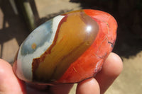 Polished On One Side Polychrome Jasper Nodules x 6 From Mahajanga, Madagascar