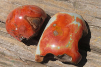 Polished On One Side Polychrome Jasper Nodules x 6 From Mahajanga, Madagascar