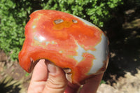 Polished On One Side Polychrome Jasper Nodules x 6 From Mahajanga, Madagascar