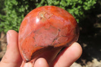 Polished On One Side Polychrome Jasper Nodules x 6 From Mahajanga, Madagascar