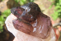 Natural Smokey Amethyst Crystals x 6 From Chiredzi, Zimbabwe - Toprock Gemstones and Minerals 
