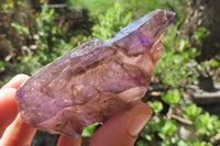 Natural Smokey Amethyst Crystals x 6 From Chiredzi, Zimbabwe - Toprock Gemstones and Minerals 