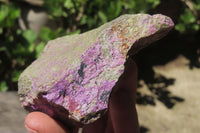Natural Stichtite Cobbed Specimens x 6 From Barberton, South Africa - Toprock Gemstones and Minerals 